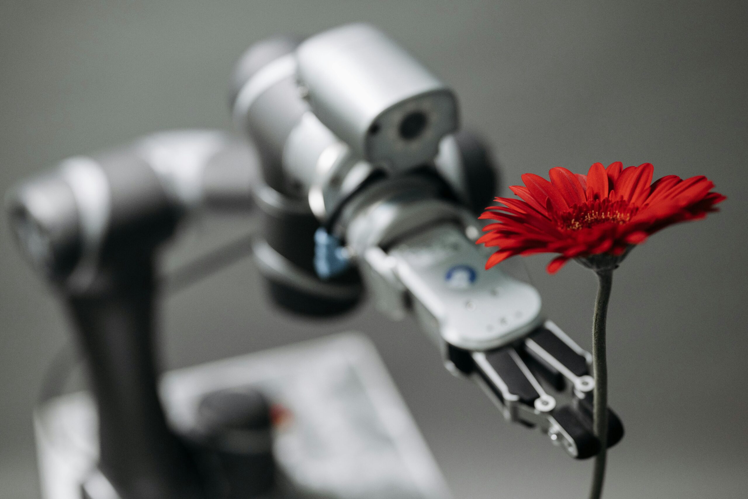 Humanoid Robot with Flower